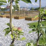 Jardin fruitier et potager d'Eurhode business services